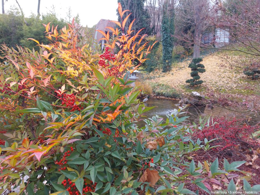 Fashion Dolls 290 — Куклы Звезды подиума (Angel Collection): шарнирные