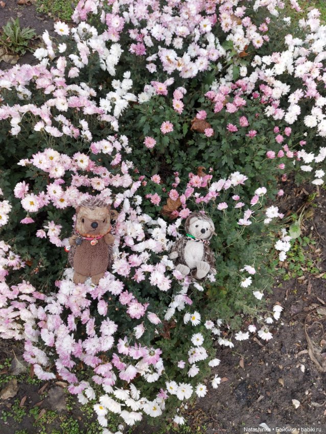 Fashion Dolls 290 — Куклы Звезды подиума (Angel Collection): шарнирные