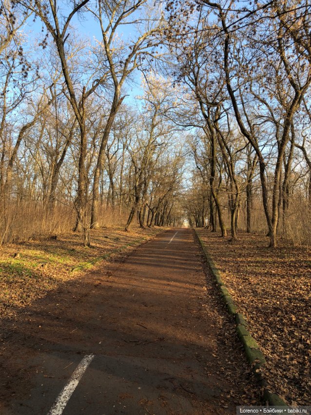 Парк Авиаторов — Культура (фото 4)