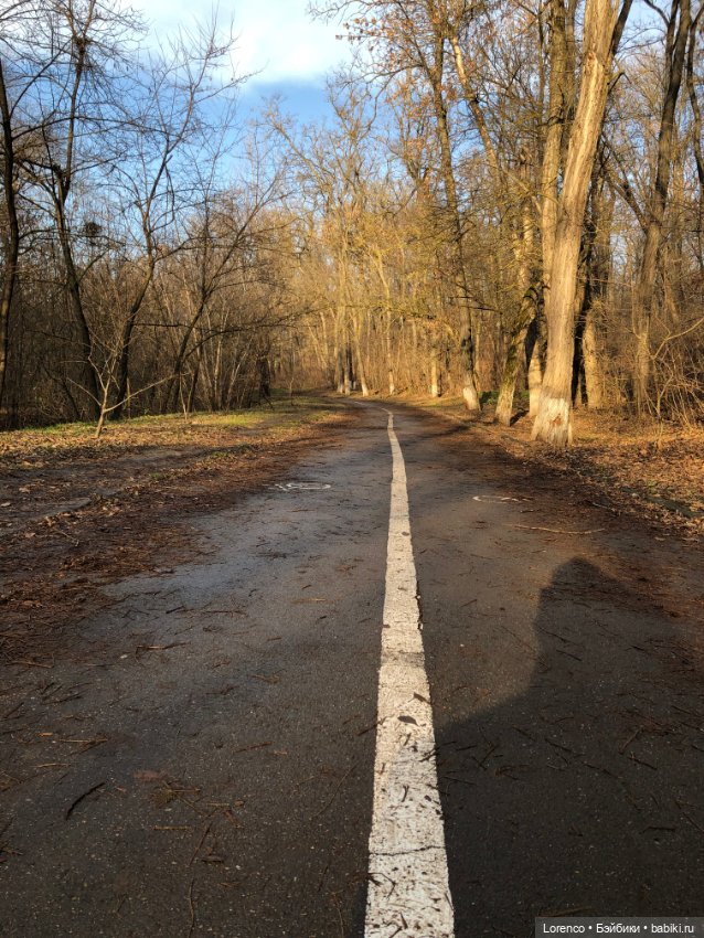 Парк Авиаторов — Культура