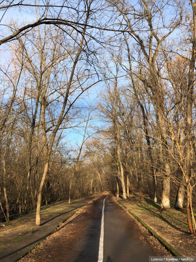 Парк Авиаторов — Культура