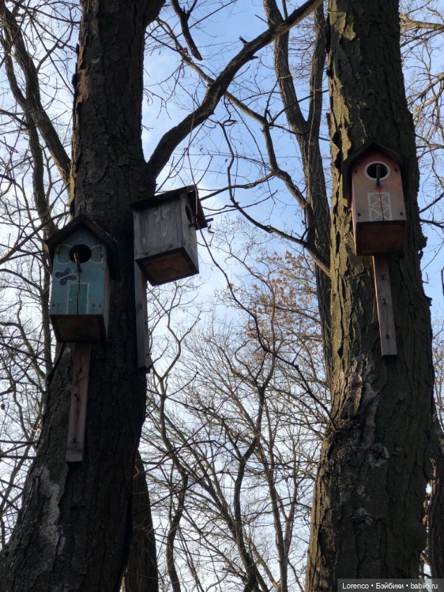 Парк Авиаторов — Культура (фото 8)