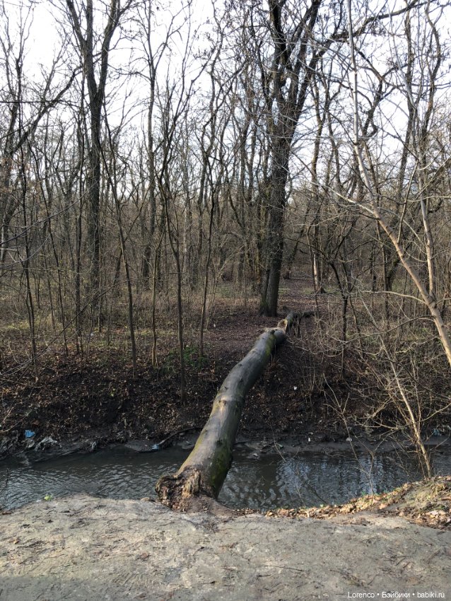 Парк Авиаторов — Культура