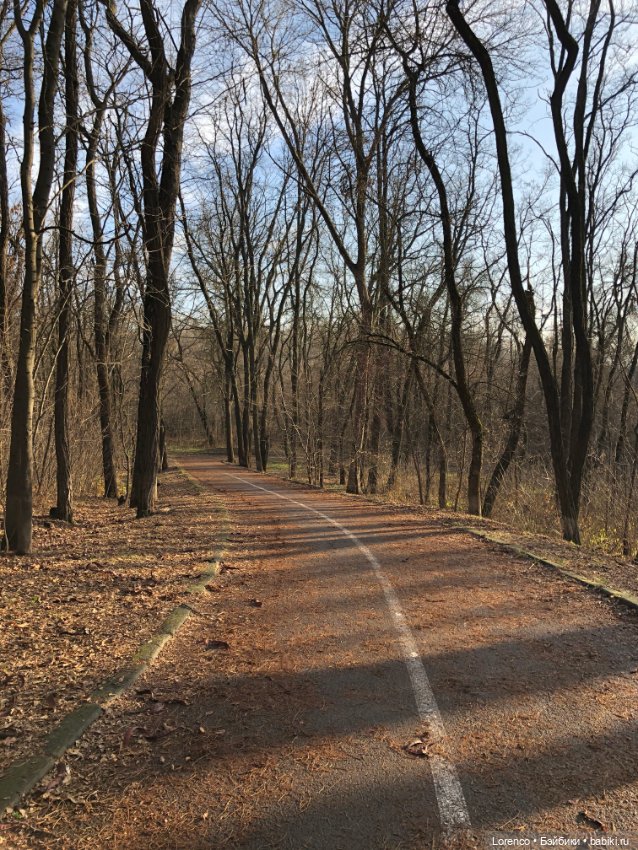 Парк Авиаторов — Культура (фото 7)