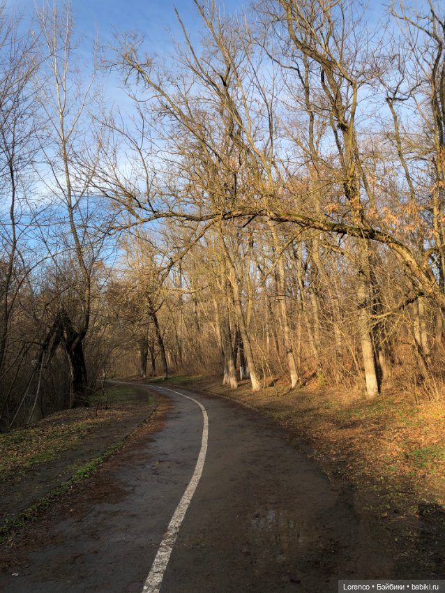 Парк Авиаторов — Культура