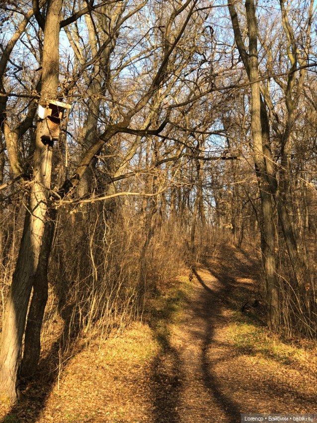 Парк Авиаторов — Культура (фото 10)
