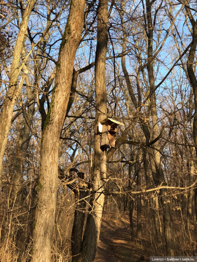 Парк Авиаторов — Культура (фото 9)