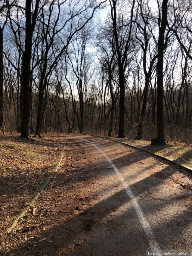 Парк Авиаторов — Культура (фото 5)