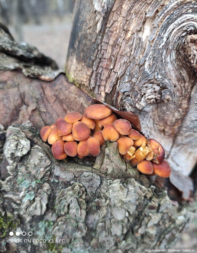 Мои игрушки детства — Игрушки СССР и советского детства: резиновые (фото 2)