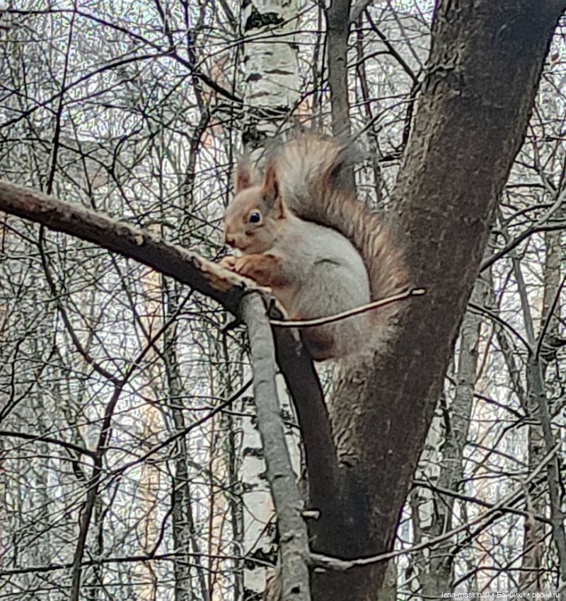 Мои игрушки детства — Игрушки СССР и советского детства: резиновые