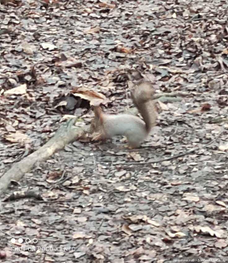 Мои игрушки детства — Игрушки СССР и советского детства: резиновые