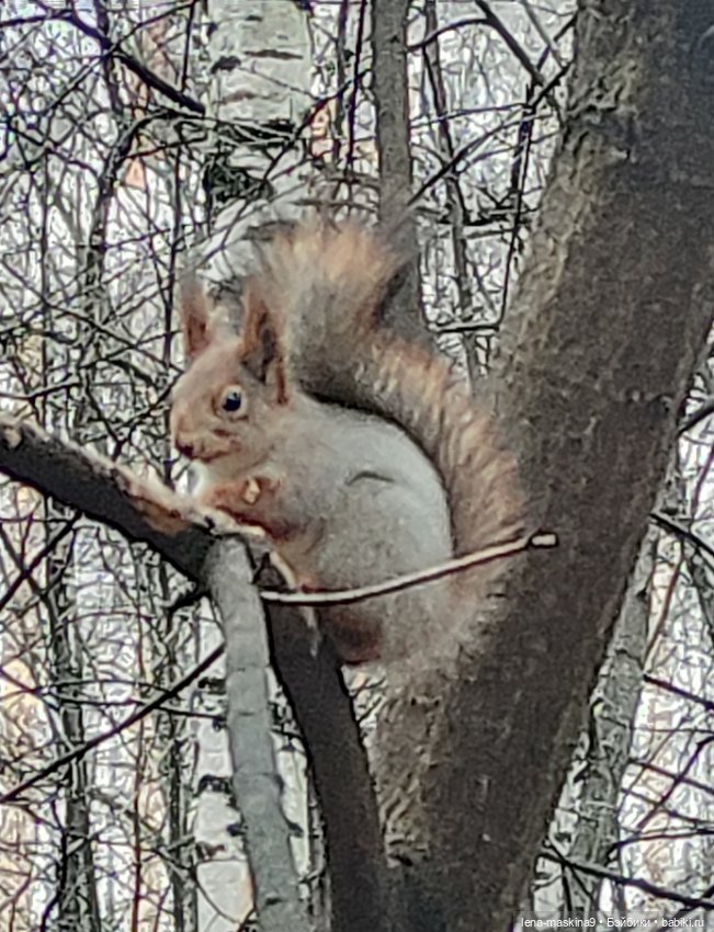 Мои игрушки детства — Игрушки СССР и советского детства: резиновые