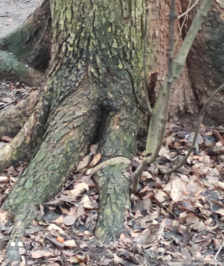 Мои игрушки детства — Игрушки СССР и советского детства: резиновые