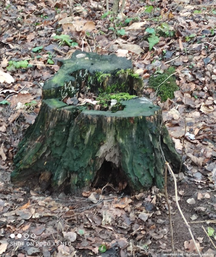 Мои игрушки детства — Игрушки СССР и советского детства: резиновые