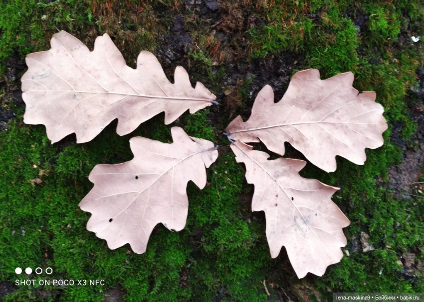 Мои игрушки детства — Игрушки СССР и советского детства: резиновые (фото 8)