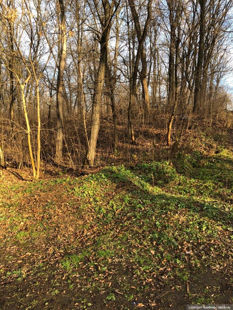 Парк Авиаторов — Культура