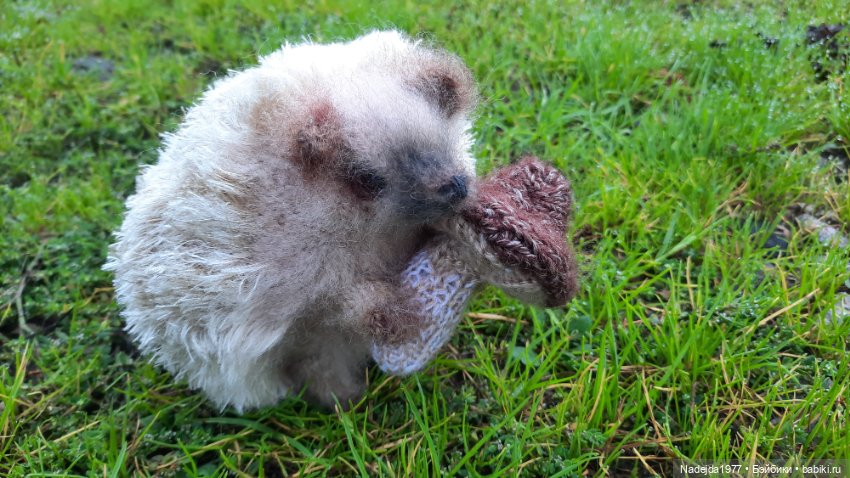 Новая работа ёжик — Вязаные игрушки и амигуруми: крючком