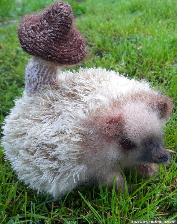 Новая работа ёжик — Вязаные игрушки и амигуруми: крючком (фото 10)