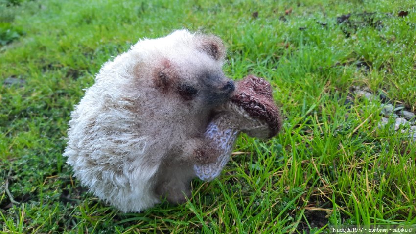 Новая работа ёжик — Вязаные игрушки и амигуруми: крючком