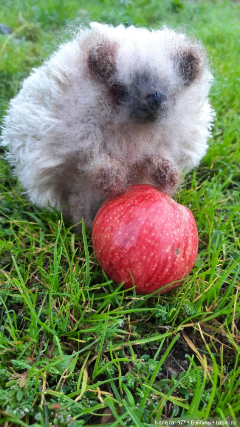 Новая работа ёжик — Вязаные игрушки и амигуруми: крючком