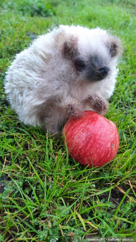 Новая работа ёжик — Вязаные игрушки и амигуруми: крючком