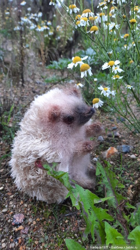 Новая работа ёжик — Вязаные игрушки и амигуруми: крючком