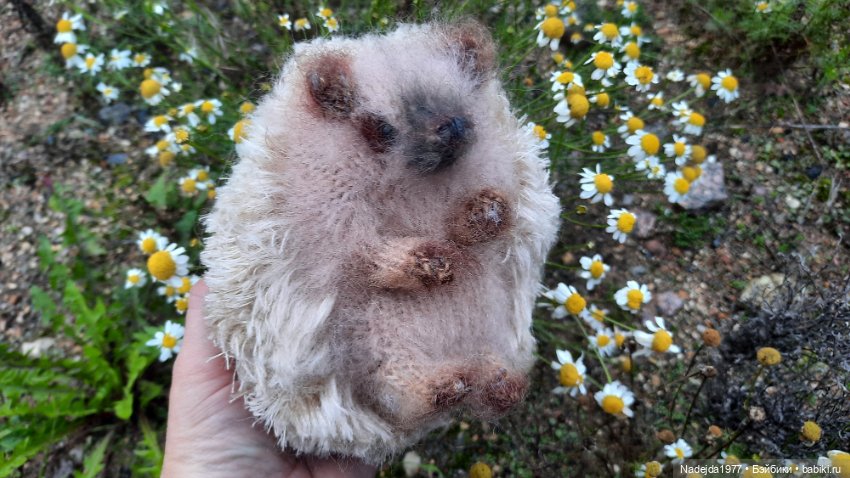 Новая работа ёжик — Вязаные игрушки и амигуруми: крючком