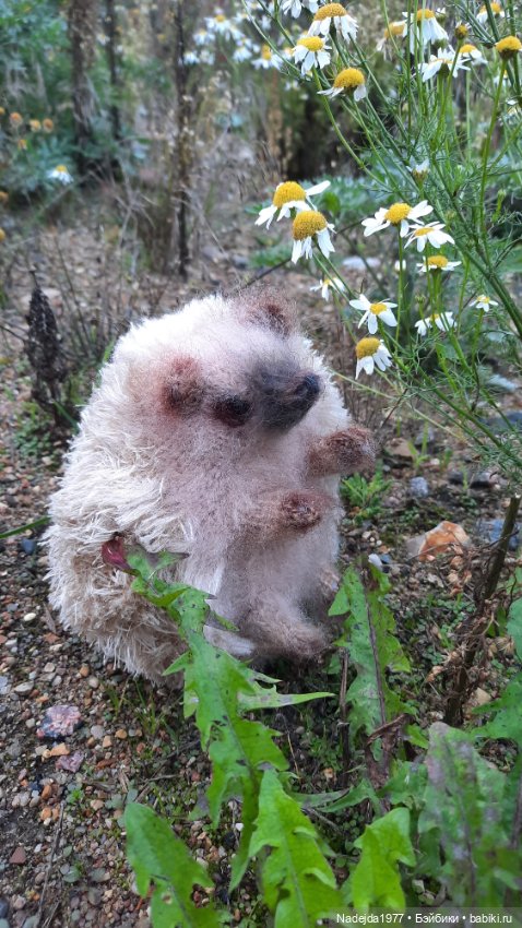 Новая работа ёжик — Вязаные игрушки и амигуруми: крючком