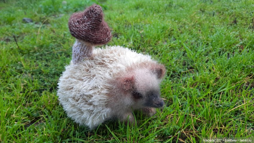 Новая работа ёжик — Вязаные игрушки и амигуруми: крючком