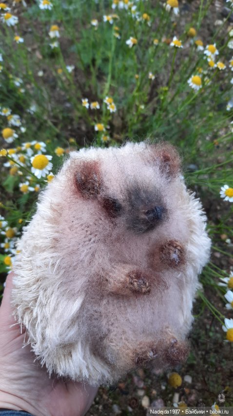 Новая работа ёжик — Вязаные игрушки и амигуруми: крючком