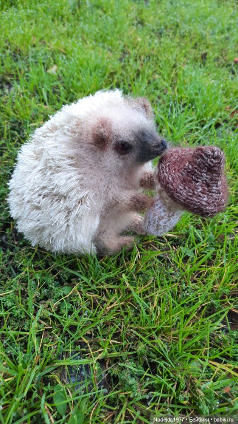 Новая работа ёжик — Вязаные игрушки и амигуруми: крючком (фото 8)