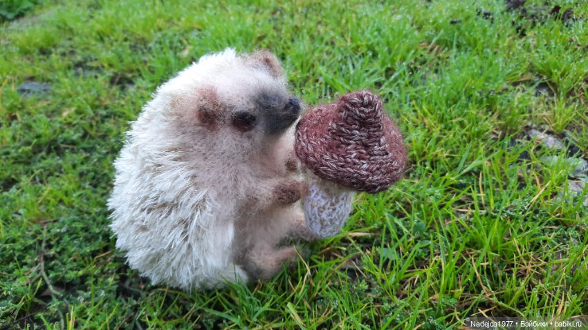 Новая работа ёжик — Вязаные игрушки и амигуруми: крючком (фото 6)