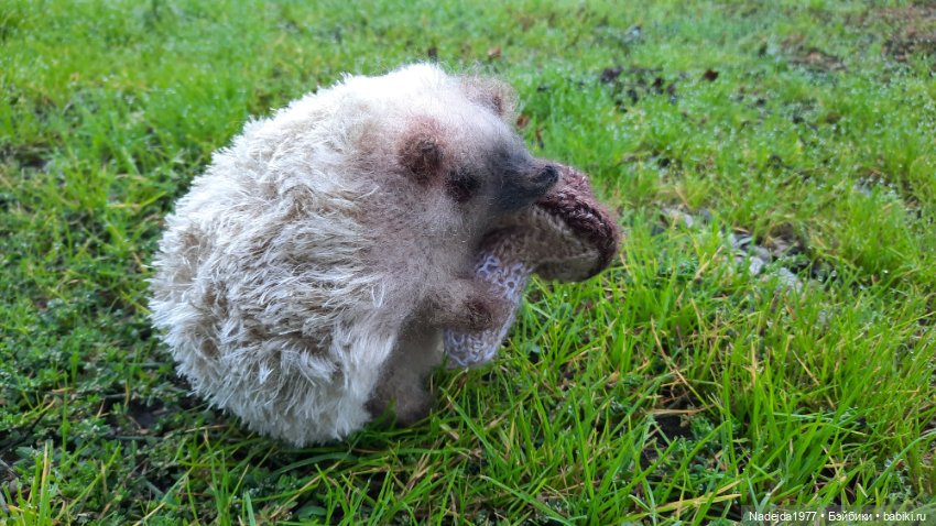 Новая работа ёжик — Вязаные игрушки и амигуруми: крючком