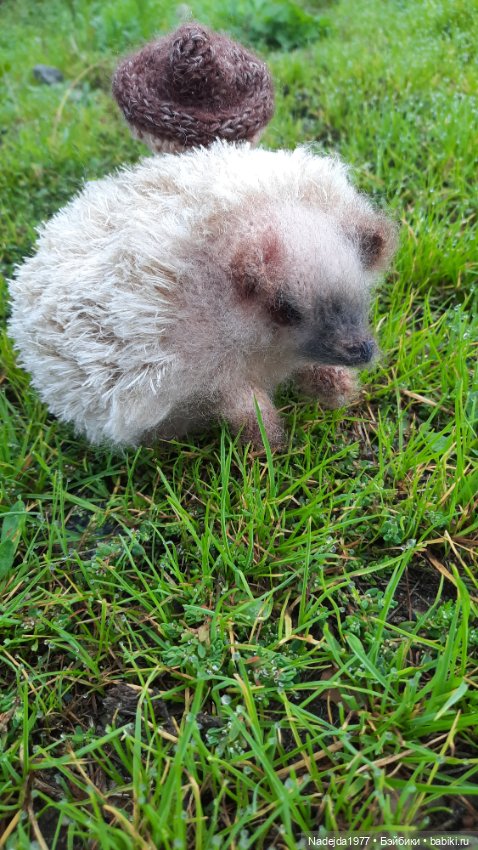 Новая работа ёжик — Вязаные игрушки и амигуруми: крючком (фото 9)