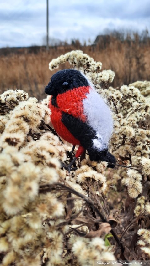 Новая работа снегирь... Люблю этих птичек (фото 2)