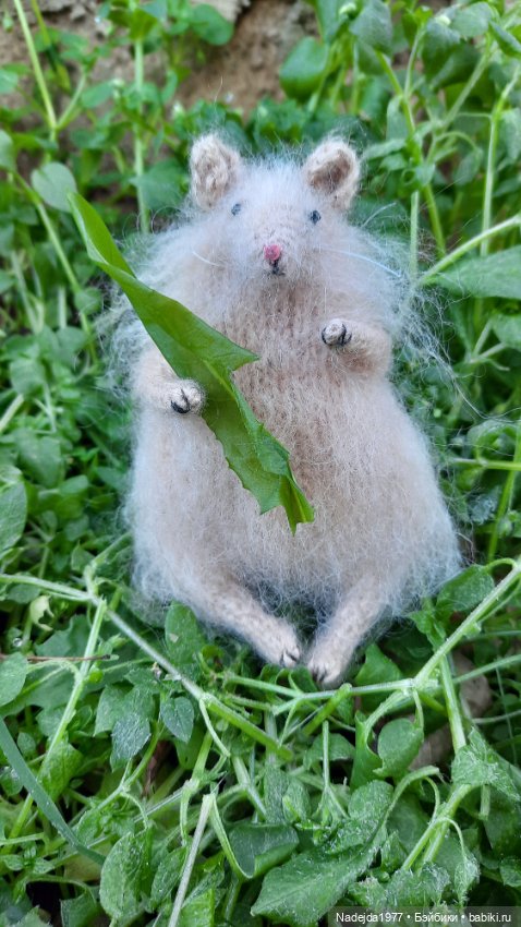 Новая работа хомячки — Вязаные игрушки и амигуруми: крючком