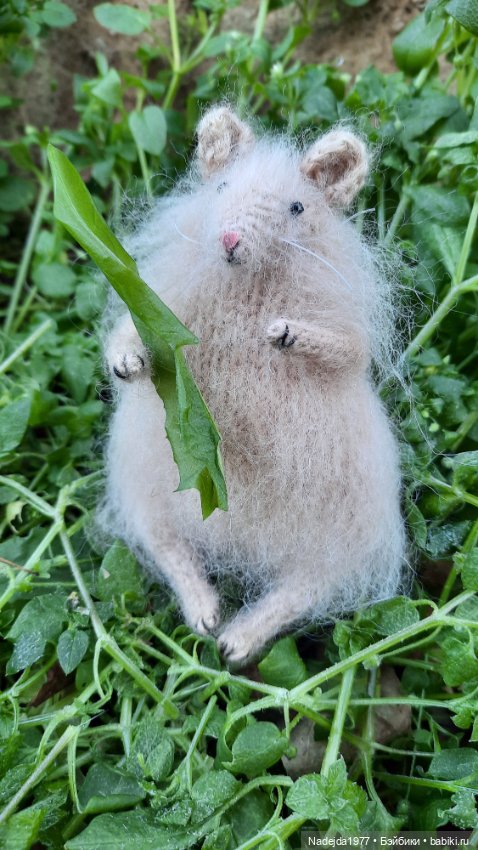 Новая работа хомячки — Вязаные игрушки и амигуруми: крючком