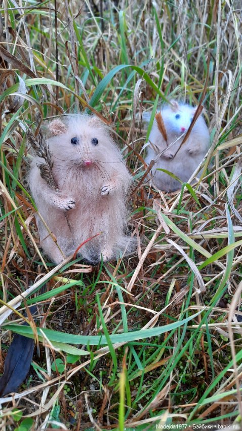 Новая работа хомячки — Вязаные игрушки и амигуруми: крючком (фото 4)