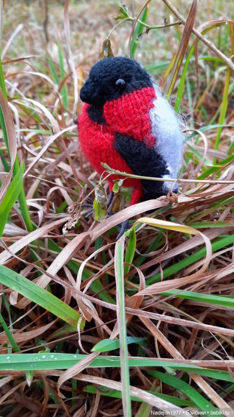 Новая работа снегирь... Люблю этих птичек (фото 9)