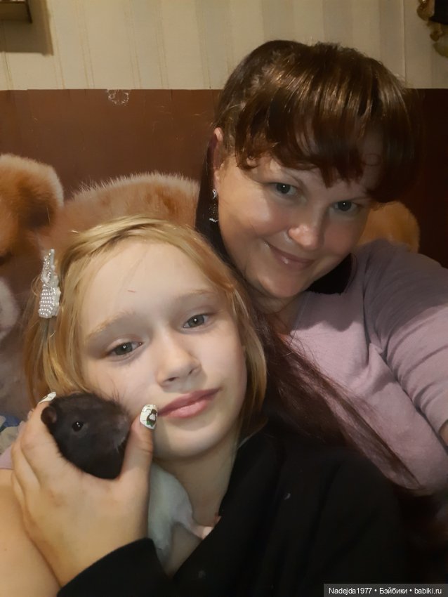 Новая работа хомячки — Вязаные игрушки и амигуруми: крючком