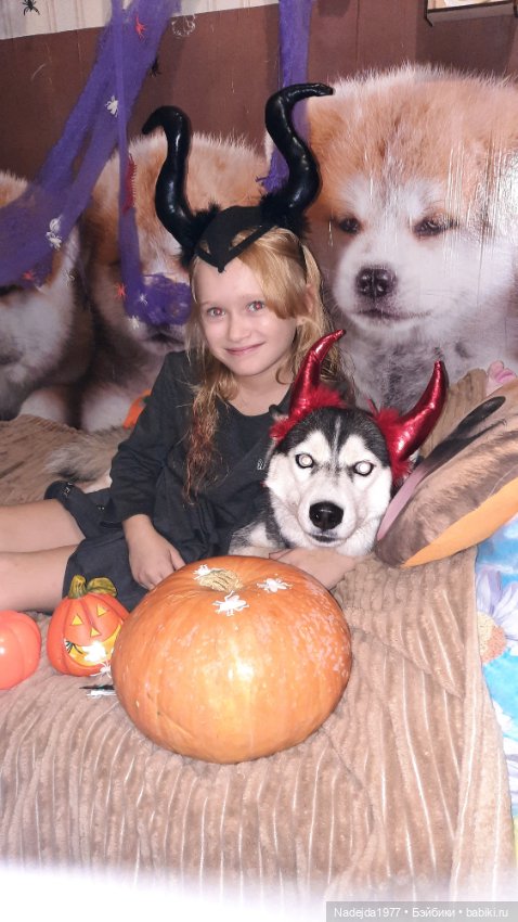 Новая работа хомячки — Вязаные игрушки и амигуруми: крючком