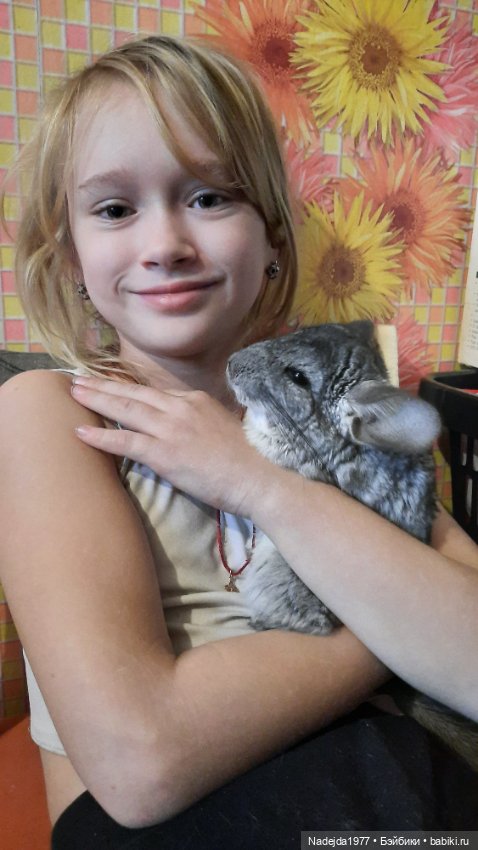 Новая работа снегирь... Люблю этих птичек