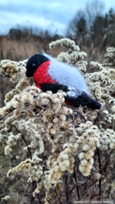 Новая работа снегирь... Люблю этих птичек (фото 5)