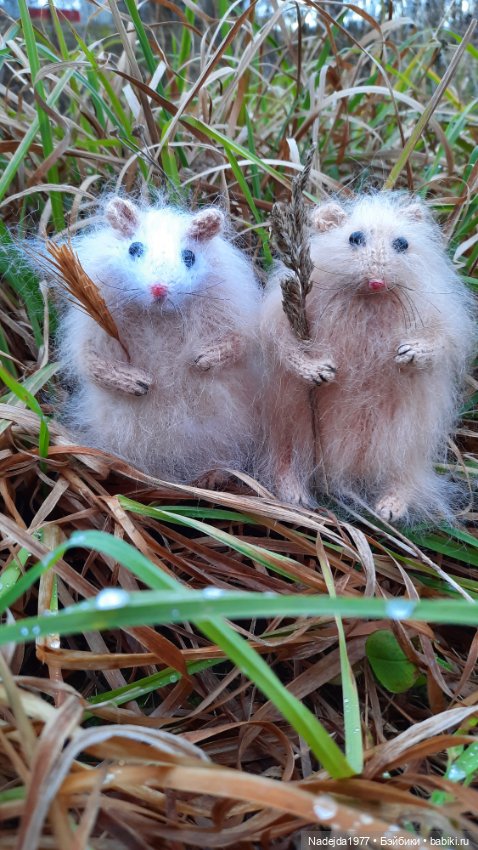 Новая работа хомячки — Вязаные игрушки и амигуруми: крючком (фото 2)