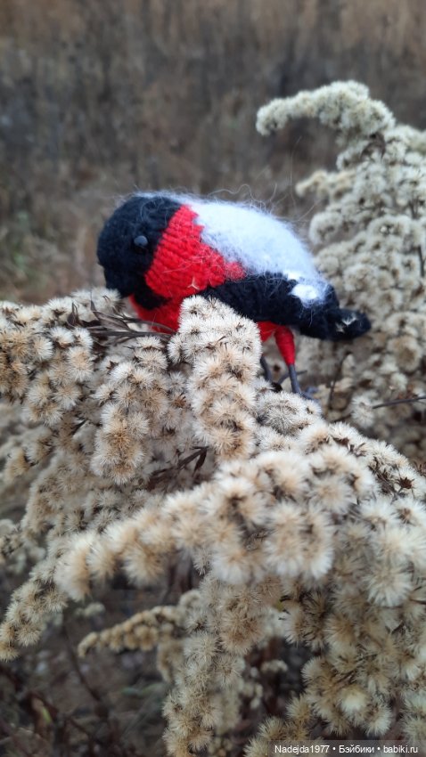 Новая работа снегирь... Люблю этих птичек (фото 4)