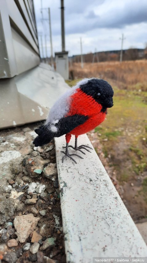 Новая работа снегирь... Люблю этих птичек