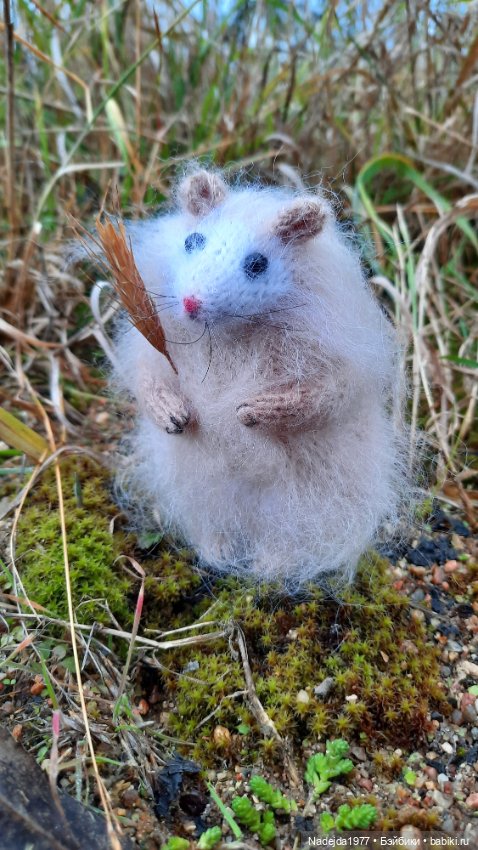 Новая работа хомячки — Вязаные игрушки и амигуруми: крючком (фото 10)