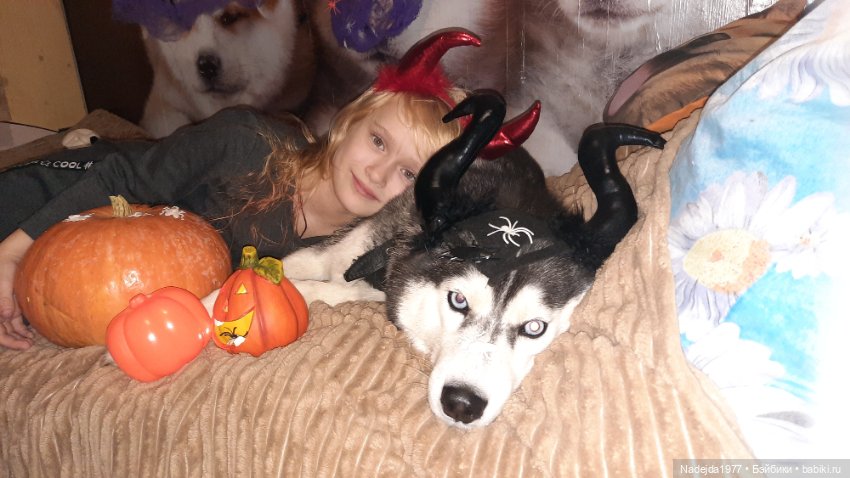 Новая работа хомячки — Вязаные игрушки и амигуруми: крючком