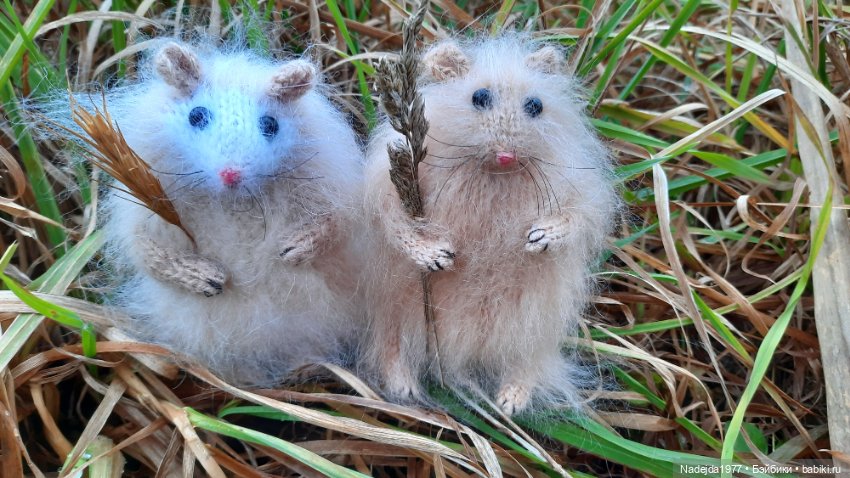 Новая работа хомячки — Вязаные игрушки и амигуруми: крючком (фото 3)