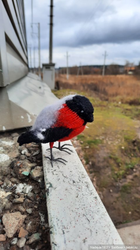 Новая работа снегирь... Люблю этих птичек